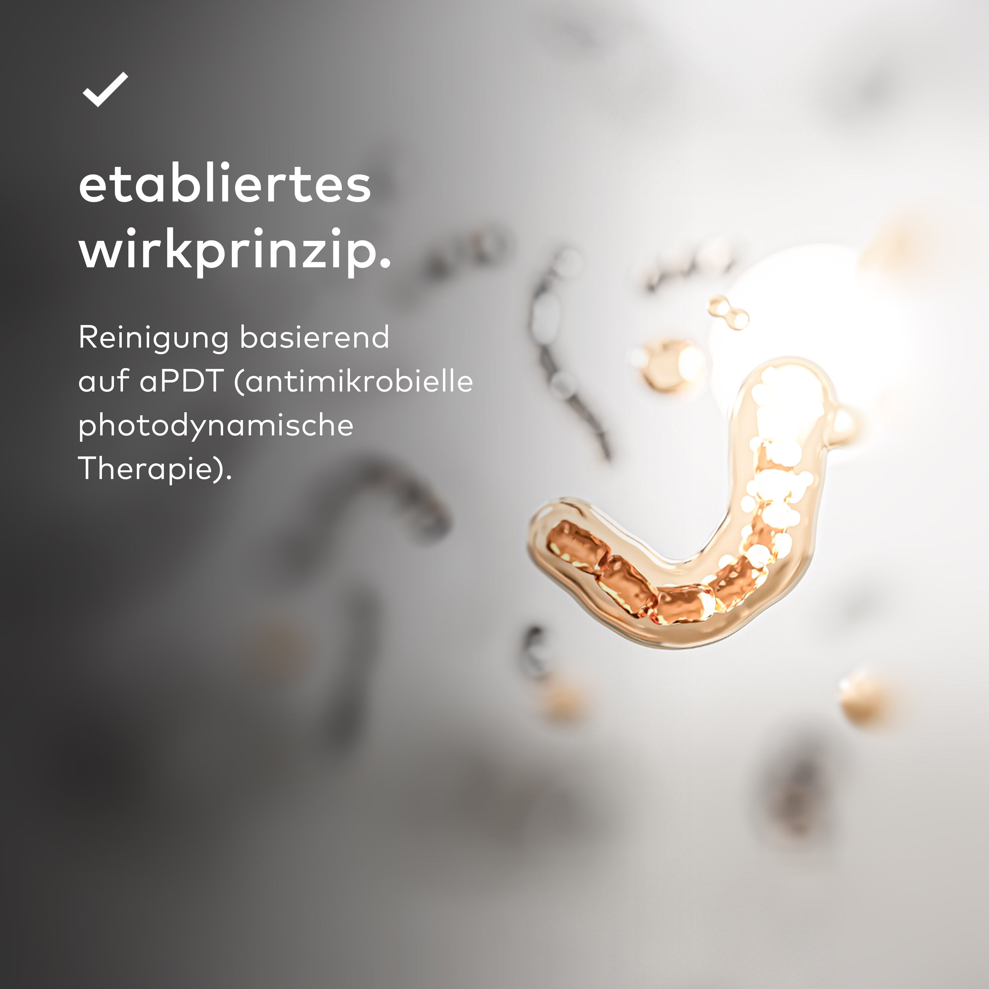 manadental starterkit.